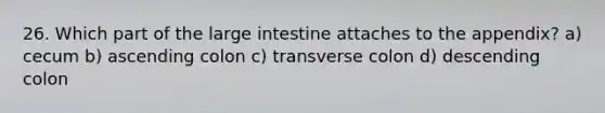 26. Which part of the <a href='https://www.questionai.com/knowledge/kGQjby07OK-large-intestine' class='anchor-knowledge'>large intestine</a> attaches to the appendix? a) cecum b) ascending colon c) transverse colon d) descending colon