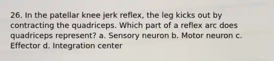 26. In the patellar knee jerk reflex, the leg kicks out by contracting the quadriceps. Which part of a reflex arc does quadriceps represent? a. Sensory neuron b. Motor neuron c. Effector d. Integration center