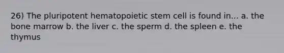 26) The pluripotent hematopoietic stem cell is found in... a. the bone marrow b. the liver c. the sperm d. the spleen e. the thymus