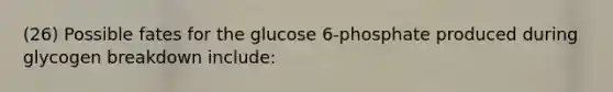 (26) Possible fates for the glucose 6-phosphate produced during glycogen breakdown include: