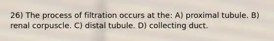 26) The process of filtration occurs at the: A) proximal tubule. B) renal corpuscle. C) distal tubule. D) collecting duct.