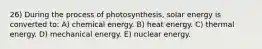 26) During the process of photosynthesis, solar energy is converted to: A) chemical energy. B) heat energy. C) thermal energy. D) mechanical energy. E) nuclear energy.