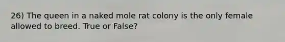 26) The queen in a naked mole rat colony is the only female allowed to breed. True or False?