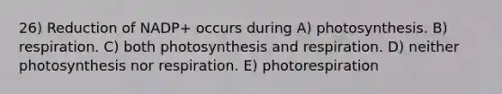 26) Reduction of NADP+ occurs during A) photosynthesis. B) respiration. C) both photosynthesis and respiration. D) neither photosynthesis nor respiration. E) photorespiration