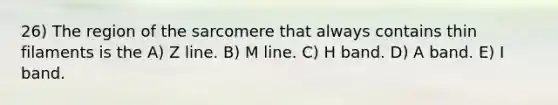 26) The region of the sarcomere that always contains thin filaments is the A) Z line. B) M line. C) H band. D) A band. E) I band.