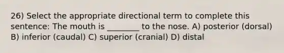 26) Select the appropriate directional term to complete this sentence: The mouth is ________ to the nose. A) posterior (dorsal) B) inferior (caudal) C) superior (cranial) D) distal