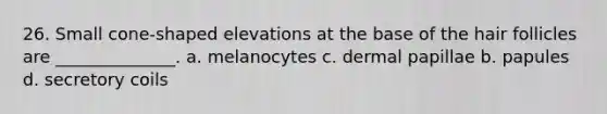 26. Small cone-shaped elevations at the base of the hair follicles are ______________. a. melanocytes c. dermal papillae b. papules d. secretory coils