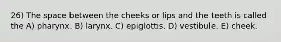 26) The space between the cheeks or lips and the teeth is called the A) pharynx. B) larynx. C) epiglottis. D) vestibule. E) cheek.