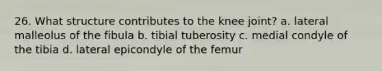 26. What structure contributes to the knee joint? a. lateral malleolus of the fibula b. tibial tuberosity c. medial condyle of the tibia d. lateral epicondyle of the femur