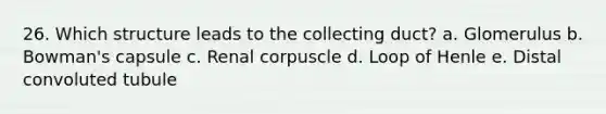 26. Which structure leads to the collecting duct? a. Glomerulus b. Bowman's capsule c. Renal corpuscle d. Loop of Henle e. Distal convoluted tubule