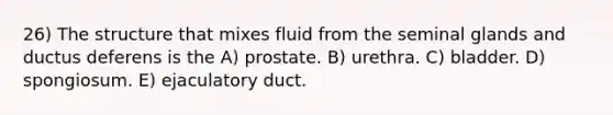 26) The structure that mixes fluid from the seminal glands and ductus deferens is the A) prostate. B) urethra. C) bladder. D) spongiosum. E) ejaculatory duct.