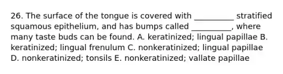 26. The surface of the tongue is covered with __________ stratified squamous epithelium, and has bumps called __________, where many taste buds can be found. A. keratinized; lingual papillae B. keratinized; lingual frenulum C. nonkeratinized; lingual papillae D. nonkeratinized; tonsils E. nonkeratinized; vallate papillae