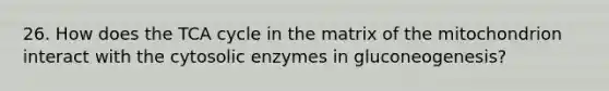 26. How does the TCA cycle in the matrix of the mitochondrion interact with the cytosolic enzymes in gluconeogenesis?