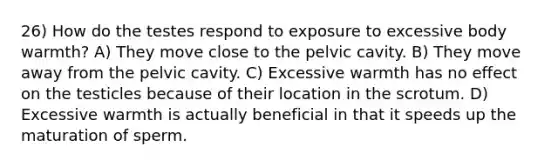 26) How do the testes respond to exposure to excessive body warmth? A) They move close to the pelvic cavity. B) They move away from the pelvic cavity. C) Excessive warmth has no effect on the testicles because of their location in the scrotum. D) Excessive warmth is actually beneficial in that it speeds up the maturation of sperm.