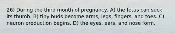 26) During the third month of pregnancy, A) the fetus can suck its thumb. B) tiny buds become arms, legs, fingers, and toes. C) neuron production begins. D) the eyes, ears, and nose form.