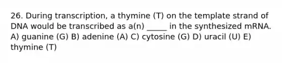 26. During transcription, a thymine (T) on the template strand of DNA would be transcribed as a(n) _____ in the synthesized mRNA. A) guanine (G) B) adenine (A) C) cytosine (G) D) uracil (U) E) thymine (T)