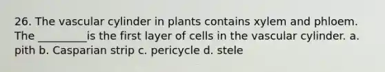 26. The vascular cylinder in plants contains xylem and phloem. The _________is the first layer of cells in the vascular cylinder. a. pith b. Casparian strip c. pericycle d. stele