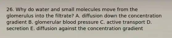 26. Why do water and small molecules move from the glomerulus into the filtrate? A. diffusion down the concentration gradient B. glomerular blood pressure C. active transport D. secretion E. diffusion against the concentration gradient