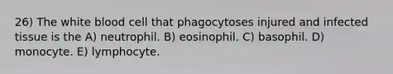 26) The white blood cell that phagocytoses injured and infected tissue is the A) neutrophil. B) eosinophil. C) basophil. D) monocyte. E) lymphocyte.