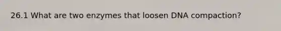 26.1 What are two enzymes that loosen DNA compaction?