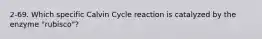 2-69. Which specific Calvin Cycle reaction is catalyzed by the enzyme "rubisco"?