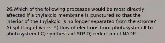 26.Which of the following processes would be most directly affected if a thylakoid membrane is punctured so that the interior of the thylakoid is no longer separated from the stroma? A) splitting of water B) flow of electrons from photosystem II to photosystem I C) synthesis of ATP D) reduction of NADP⁺