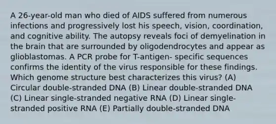 A 26-year-old man who died of AIDS suffered from numerous infections and progressively lost his speech, vision, coordination, and cognitive ability. The autopsy reveals foci of demyelination in the brain that are surrounded by oligodendrocytes and appear as glioblastomas. A PCR probe for T-antigen- specific sequences confirms the identity of the virus responsible for these findings. Which genome structure best characterizes this virus? (A) Circular double-stranded DNA (B) Linear double-stranded DNA (C) Linear single-stranded negative RNA (D) Linear single-stranded positive RNA (E) Partially double-stranded DNA