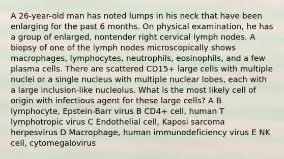 A 26-year-old man has noted lumps in his neck that have been enlarging for the past 6 months. On physical examination, he has a group of enlarged, nontender right cervical lymph nodes. A biopsy of one of the lymph nodes microscopically shows macrophages, lymphocytes, neutrophils, eosinophils, and a few plasma cells. There are scattered CD15+ large cells with multiple nuclei or a single nucleus with multiple nuclear lobes, each with a large inclusion-like nucleolus. What is the most likely cell of origin with infectious agent for these large cells? A B lymphocyte, Epstein-Barr virus B CD4+ cell, human T lymphotropic virus C Endothelial cell, Kaposi sarcoma herpesvirus D Macrophage, human immunodeficiency virus E NK cell, cytomegalovirus