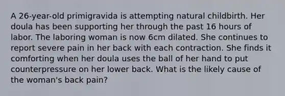 A 26-year-old primigravida is attempting natural childbirth. Her doula has been supporting her through the past 16 hours of labor. The laboring woman is now 6cm dilated. She continues to report severe pain in her back with each contraction. She finds it comforting when her doula uses the ball of her hand to put counterpressure on her lower back. What is the likely cause of the woman's back pain?