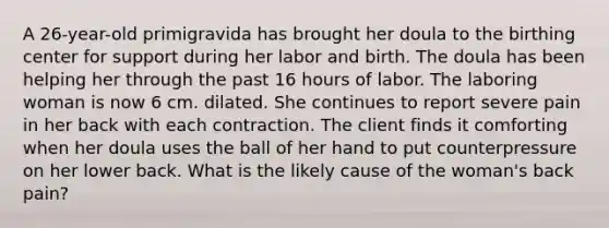 A 26-year-old primigravida has brought her doula to the birthing center for support during her labor and birth. The doula has been helping her through the past 16 hours of labor. The laboring woman is now 6 cm. dilated. She continues to report severe pain in her back with each contraction. The client finds it comforting when her doula uses the ball of her hand to put counterpressure on her lower back. What is the likely cause of the woman's back pain?