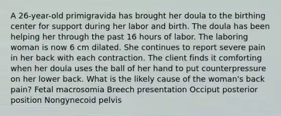 A 26-year-old primigravida has brought her doula to the birthing center for support during her labor and birth. The doula has been helping her through the past 16 hours of labor. The laboring woman is now 6 cm dilated. She continues to report severe pain in her back with each contraction. The client finds it comforting when her doula uses the ball of her hand to put counterpressure on her lower back. What is the likely cause of the woman's back pain? Fetal macrosomia Breech presentation Occiput posterior position Nongynecoid pelvis