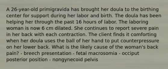 A 26-year-old primigravida has brought her doula to the birthing center for support during her labor and birth. The doula has been helping her through the past 16 hours of labor. The laboring woman is now 6 cm dilated. She continues to report severe pain in her back with each contraction. The client finds it comforting when her doula uses the ball of her hand to put counterpressure on her lower back. What is the likely cause of the woman's back pain? - breech presentation - fetal macrosomia - occiput posterior position - nongynecoid pelvis