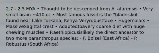 2.7 - 2.5 MYA • Thought to be descended from A. afarensis • Very small brain ~410 cc • Most famous fossil is the "black skull" found near Lake Turkana, Kenya Veryrobustface • Hugemolars • MassiveSagittal crest • Adaptedtoavery coarse diet with huge chewing muscles • P.aethiopicusislikely the direct ancestor to two more paranthropus species: - P. Boisei (East Africa) - P. Robustus (South Africa)