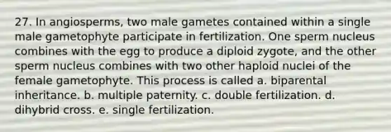 27. In angiosperms, two male gametes contained within a single male gametophyte participate in fertilization. One sperm nucleus combines with the egg to produce a diploid zygote, and the other sperm nucleus combines with two other haploid nuclei of the female gametophyte. This process is called a. biparental inheritance. b. multiple paternity. c. double fertilization. d. dihybrid cross. e. single fertilization.