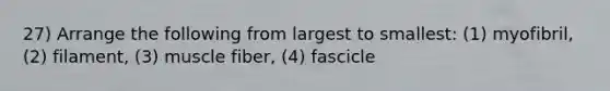 27) Arrange the following from largest to smallest: (1) myofibril, (2) filament, (3) muscle fiber, (4) fascicle