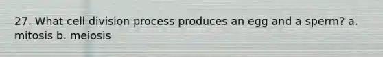 27. What cell division process produces an egg and a sperm? a. mitosis b. meiosis