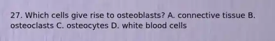 27. Which cells give rise to osteoblasts? A. connective tissue B. osteoclasts C. osteocytes D. white blood cells