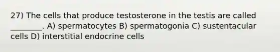 27) The cells that produce testosterone in the testis are called ________. A) spermatocytes B) spermatogonia C) sustentacular cells D) interstitial endocrine cells