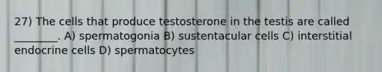 27) The cells that produce testosterone in the testis are called ________. A) spermatogonia B) sustentacular cells C) interstitial endocrine cells D) spermatocytes