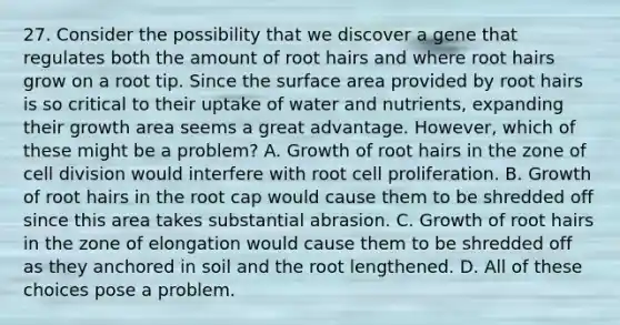 27. Consider the possibility that we discover a gene that regulates both the amount of root hairs and where root hairs grow on a root tip. Since the <a href='https://www.questionai.com/knowledge/kEtsSAPENL-surface-area' class='anchor-knowledge'>surface area</a> provided by root hairs is so critical to their uptake of water and nutrients, expanding their growth area seems a great advantage. However, which of these might be a problem? A. Growth of root hairs in the zone of <a href='https://www.questionai.com/knowledge/kjHVAH8Me4-cell-division' class='anchor-knowledge'>cell division</a> would interfere with root cell proliferation. B. Growth of root hairs in the root cap would cause them to be shredded off since this area takes substantial abrasion. C. Growth of root hairs in the zone of elongation would cause them to be shredded off as they anchored in soil and the root lengthened. D. All of these choices pose a problem.