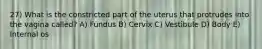 27) What is the constricted part of the uterus that protrudes into the vagina called? A) Fundus B) Cervix C) Vestibule D) Body E) Internal os