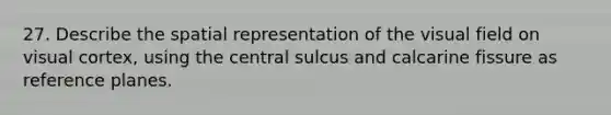 27. Describe the spatial representation of the visual field on visual cortex, using the central sulcus and calcarine fissure as reference planes.