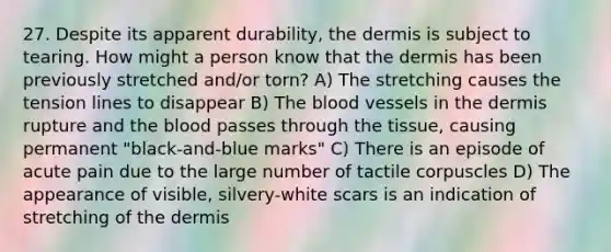 27. Despite its apparent durability, the dermis is subject to tearing. How might a person know that the dermis has been previously stretched and/or torn? A) The stretching causes the tension lines to disappear B) The blood vessels in the dermis rupture and the blood passes through the tissue, causing permanent "black-and-blue marks" C) There is an episode of acute pain due to the large number of tactile corpuscles D) The appearance of visible, silvery-white scars is an indication of stretching of the dermis