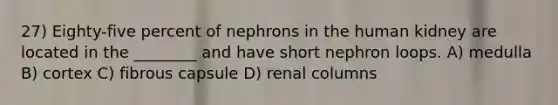 27) Eighty-five percent of nephrons in the human kidney are located in the ________ and have short nephron loops. A) medulla B) cortex C) fibrous capsule D) renal columns