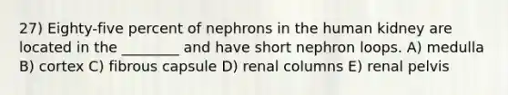 27) Eighty-five percent of nephrons in the human kidney are located in the ________ and have short nephron loops. A) medulla B) cortex C) fibrous capsule D) renal columns E) renal pelvis