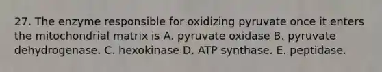 27. The enzyme responsible for oxidizing pyruvate once it enters the mitochondrial matrix is A. pyruvate oxidase B. pyruvate dehydrogenase. C. hexokinase D. ATP synthase. E. peptidase.