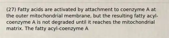 (27) Fatty acids are activated by attachment to coenzyme A at the outer mitochondrial membrane, but the resulting fatty acyl-coenzyme A is not degraded until it reaches the mitochondrial matrix. The fatty acyl-coenzyme A