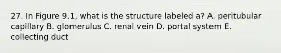 27. In Figure 9.1, what is the structure labeled a? A. peritubular capillary B. glomerulus C. renal vein D. portal system E. collecting duct