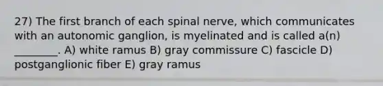 27) The first branch of each spinal nerve, which communicates with an autonomic ganglion, is myelinated and is called a(n) ________. A) white ramus B) gray commissure C) fascicle D) postganglionic fiber E) gray ramus