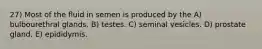 27) Most of the fluid in semen is produced by the A) bulbourethral glands. B) testes. C) seminal vesicles. D) prostate gland. E) epididymis.